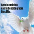 /album/iglesia-vida-abudante/comparte-la-bendicion-de-dios-en-twitter-jpg/
